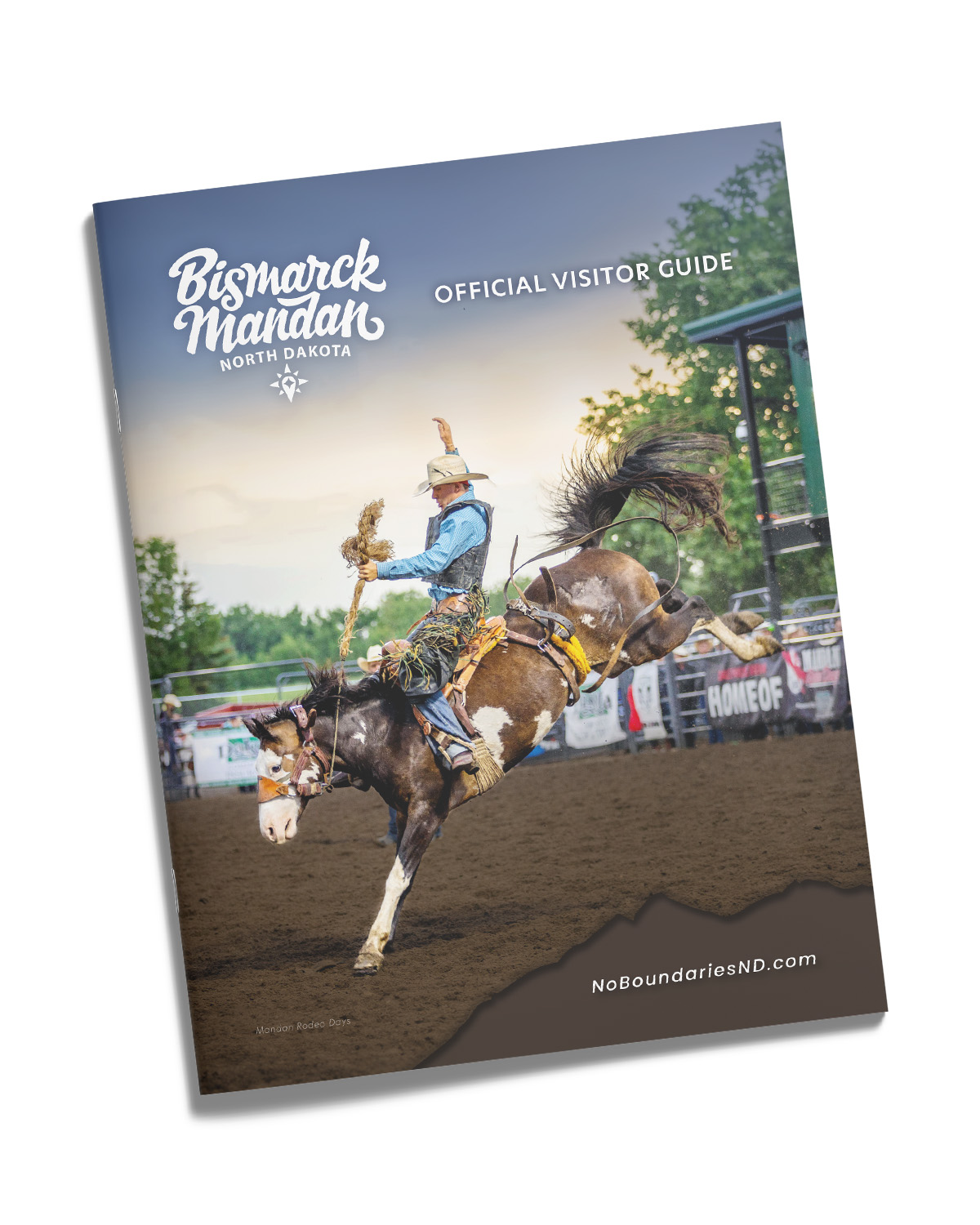 Image hover effect image