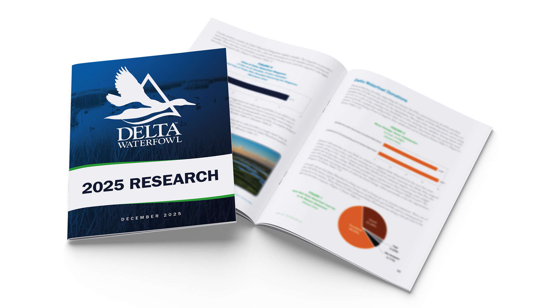 Image hover effect image