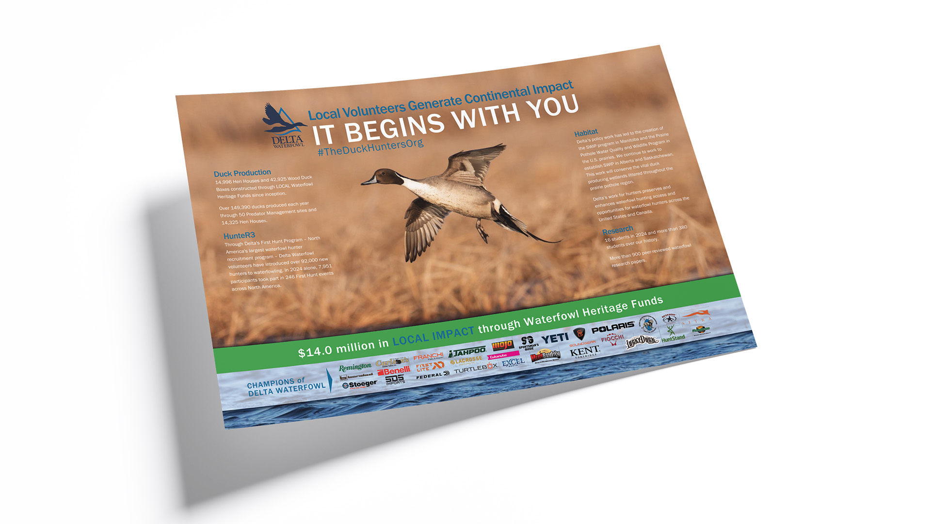 Image hover effect image