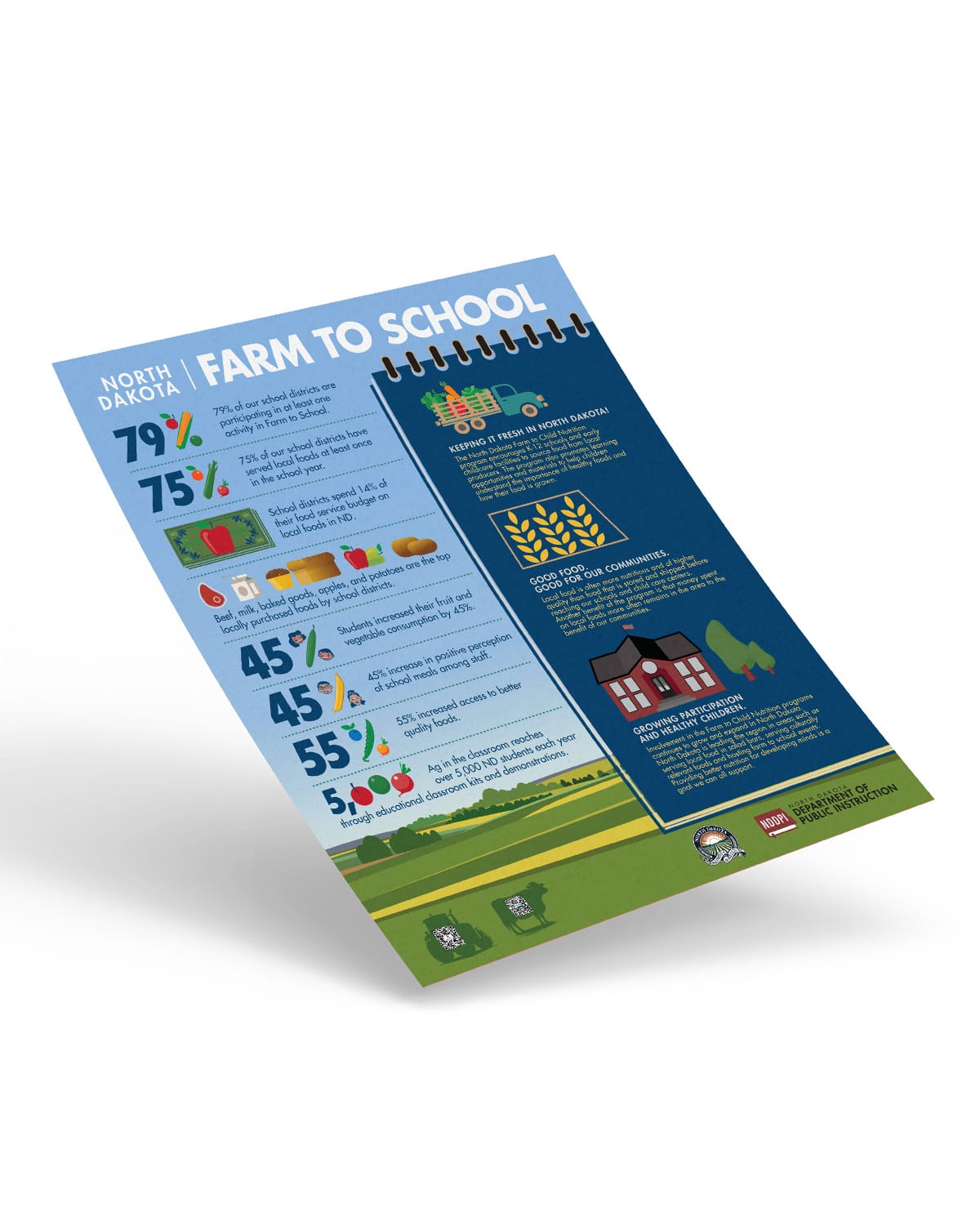 NDDPI Flyer