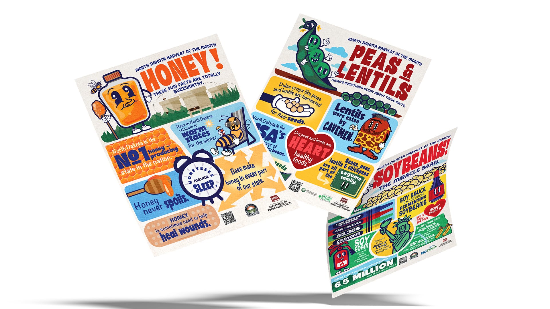 NDDPI Poster Set